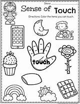 Senses Touch Preescolar Planningplaytime Sentidos Sight Trabajo Imprimibles Playtime sketch template