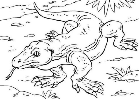 giant komodo dragon coloring pages coloring pages