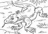 Komodo Dragon Coloring Pages Printable Dragons Giant Template sketch template