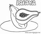 Papaya Coloring Sheets Google Search Pages Drawing Getdrawings Bảng Chọn sketch template
