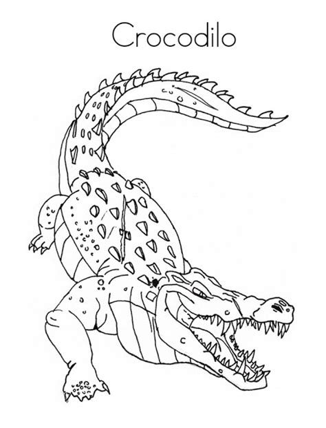 blog de geografia crocodilo desenho para imprimir e colorir