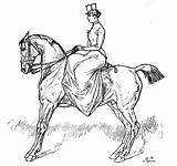 Women Horsemanship Drawings Color Line Sidesaddle sketch template