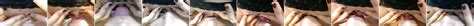 more clit head vs clit head close ups lesbian tribadism xhamster