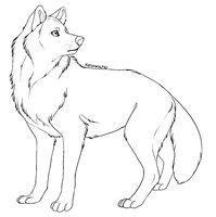 coloring pages anime wolfs anime wolf coloring pages wolves