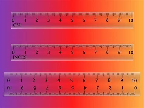 reglas de medicion de la escuela de color en centimetros  pulgadas conjunto de vectores vector