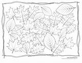 Leaves Coloring Pile Pages Printable Fall Getdrawings Color Autumn Click Getcolorings sketch template