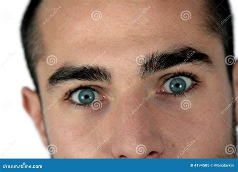 eyes wide open royalty  stock photo image