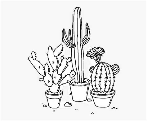 vsco coloring pages coloring home