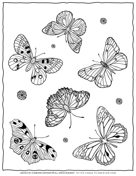 butterfly coloring pages  printable planerium