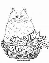 Coloring Cat Pages Flowers Persian Cats Book Flower Color Printable Sheet Getcolorings Books Choose Board Fresh sketch template