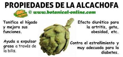 propiedades de las alcachofas protege el hígado y