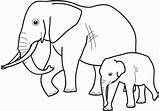 Elephant Coloring Baby Pages Mother Categories Family Printable sketch template