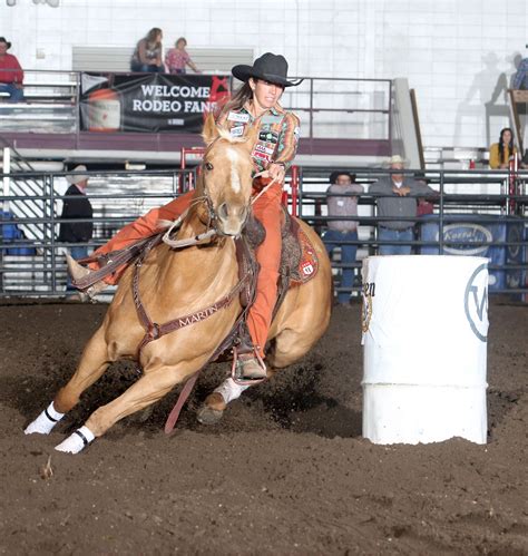 badlands pro rodeo horses   year selected news dakota