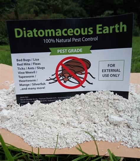 diatomaceous earth pest grade diatomaceous earth ireland