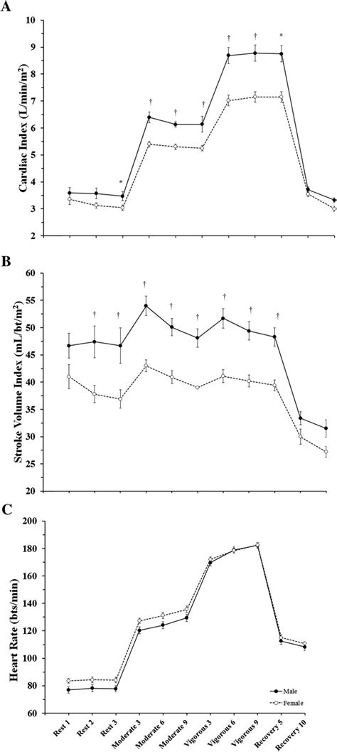 Sex Differences In Cardiovascular Function During Submaximal Exercise