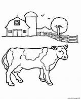 Cow Coloring Farm Pages Printable Animal Color Print Book sketch template