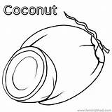 Coconut Coloring Color Pages Printable sketch template