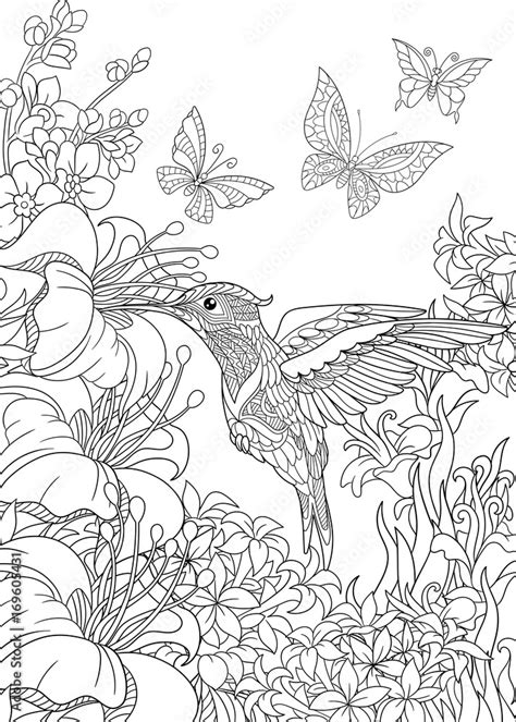 obraz kolorowanka  kolibra motyle  kwiaty hibiskusa szkic odreczny