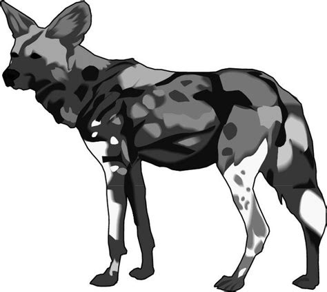wild dog coloring pages