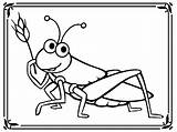 Grasshopper Coloring Pages Color Popular sketch template