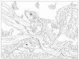 Coloring Pages 11x17 Blank Print Getcolorings Will Sure Fire sketch template