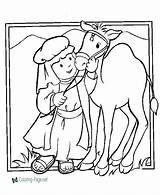Coloring Pages Christian Shepherd Camel sketch template