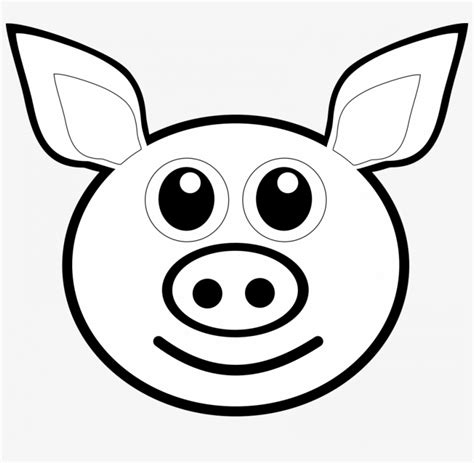 ear picture pig face coloring pages  png  pngkit