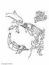 Kratts Wild Coloring Pages Printable Kids Dolphins Dolphin Popular Choose Board Cartoons sketch template