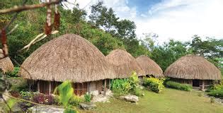 rumah adat suku papua inspirasi desain rumah