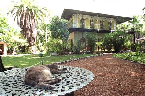 Cat At The Ernest Hemingway Home On Whitehead Street In