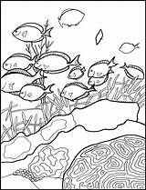 Coloring Reef Coral Pages Ocean Barrier Great Printable Clipart Colouring Fish Worksheets Atoll Sea Pacific Marine Kids Dolphin Popular Coloringhome sketch template
