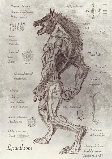 lycanthrope illustration digital art