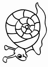 Coloriage Escargot Coquille Colorat Caracoles Hugo Caracol Melci Animaux Animale 1040 Planse Hugolescargot P10 Coloriages Dessiner Juegos Animales Snails Primiiani sketch template