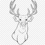 Mewarnai Rusa Renna Binatang Tailed Rudolph Hewan sketch template