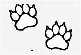 Tiger Coloring Paw Paws Pages Clipart Scratches Webstockreview Logo Clipground Nicepng Transparent sketch template
