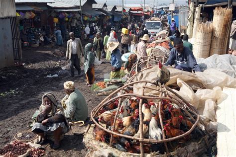 chicken netting  foreground ready  sale  merkato market addis ababa ethiopia