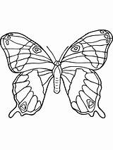 Kolorowanki Drugelis Schmetterlinge Motyle Vlinders Spalvinti Motylami Farfalla Papillon Ausmalbilder Coloriage Owady Imprimer Kleurplaten Pillangó Dzieci Atvirukas Tiere Ailes sketch template