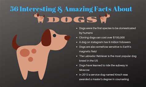 interesting  amazing facts  dogs