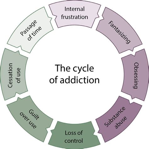 2 the cycle of addiction the cycle of addiction shows how difficult it