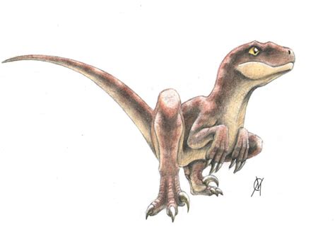 baby raptor  vytor  deviantart