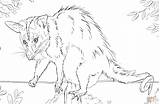 Opossum Coloring Pages Printable 1527 32kb Getdrawings Drawing sketch template