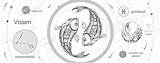 Vissen Sterrenbeeld Horoscoop Eigenschappen sketch template