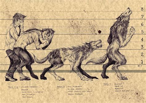 big poster werewolf transformation mythology art print etsy