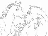 Heste Tegninger Cheval Magnifique Hest Cavallo Sparet Tjent sketch template