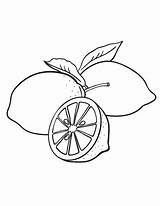 Lemon Coloring Pages Printable Fruit Coloringcafe Pdf Pasta Escolha Para Colorir Colouring sketch template