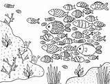Fish Coloring School Pages Printable Drawing Print Easy Museprintables Ocean Choose Board Sheets Beach sketch template