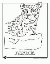 Animals Endangered Coloring Pages Animal Rainforest Panther Most Kids Panth Activities Ocean America North Craft Jr Species Sheets Crafts Extinct sketch template