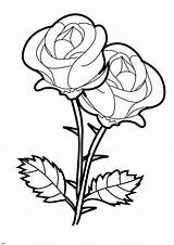 Rose Drawing Color Flowers Coloring Flower Simple Pages Bouquet Printable Beast Beauty Colouring Sheets Clipartmag Sketch sketch template