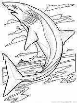 Sharkboy Lavagirl Coloring Pages Getcolorings Printable Color sketch template