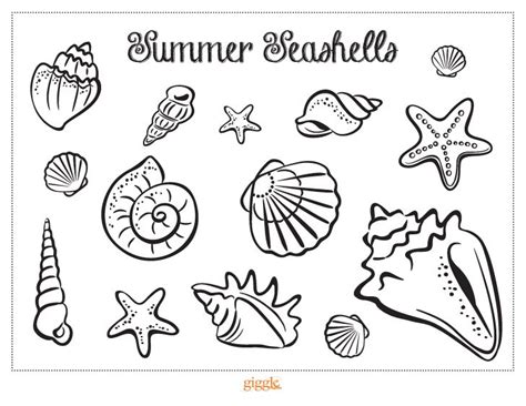 summer seashell printable sea shells file ideas printables